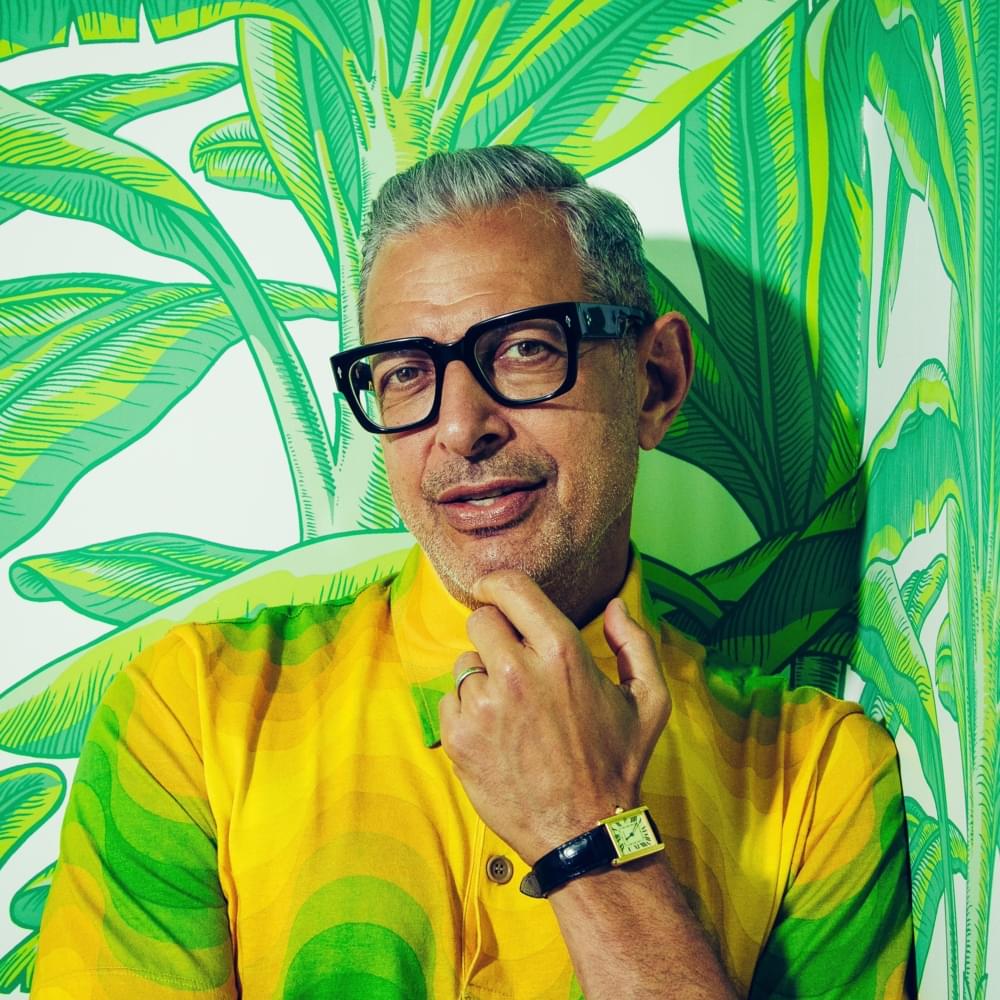 Jeff Goldblum Profile Picture Photo of Jeff Goldblum