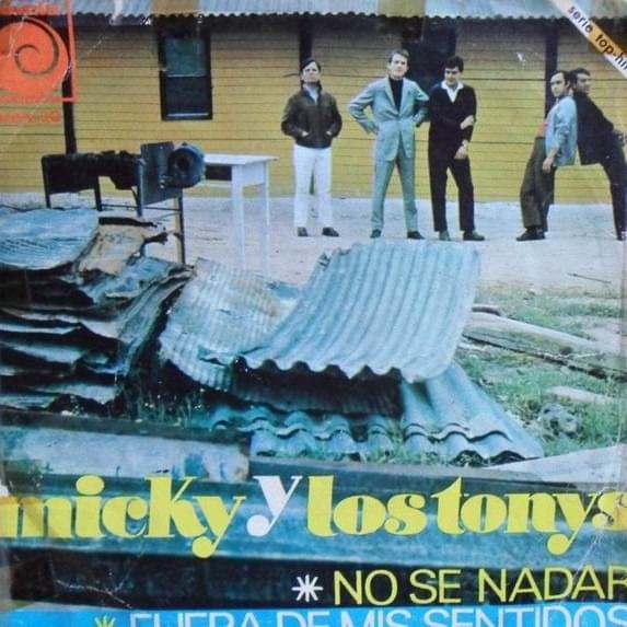 Cover image for No Se Nadar / Fuera De Mis Sentidos