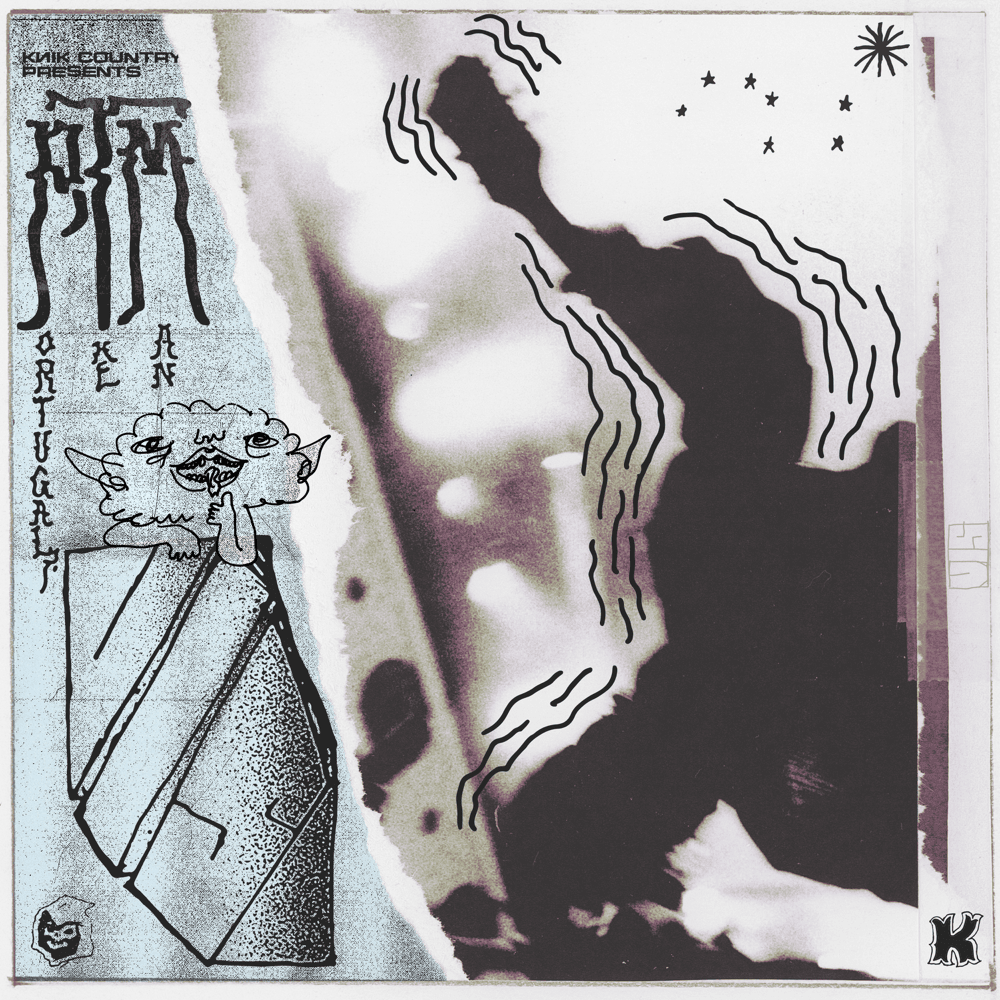 Album cover art for "V.I.S." by Portugal. The Man