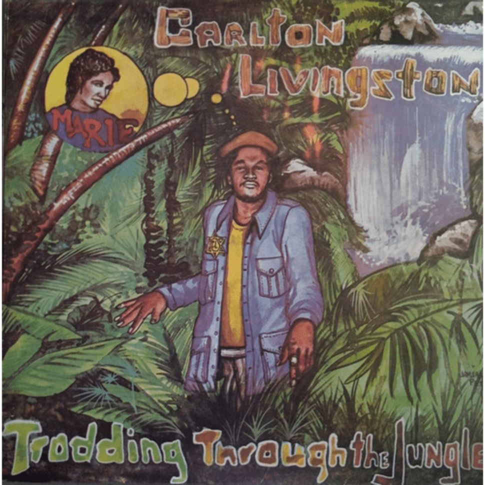 Cover image for Trodding Through The Jungle