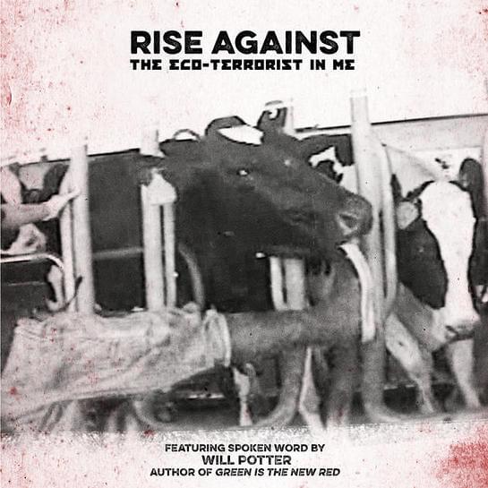 Album cover art for "About Damn Time" by Rise Against