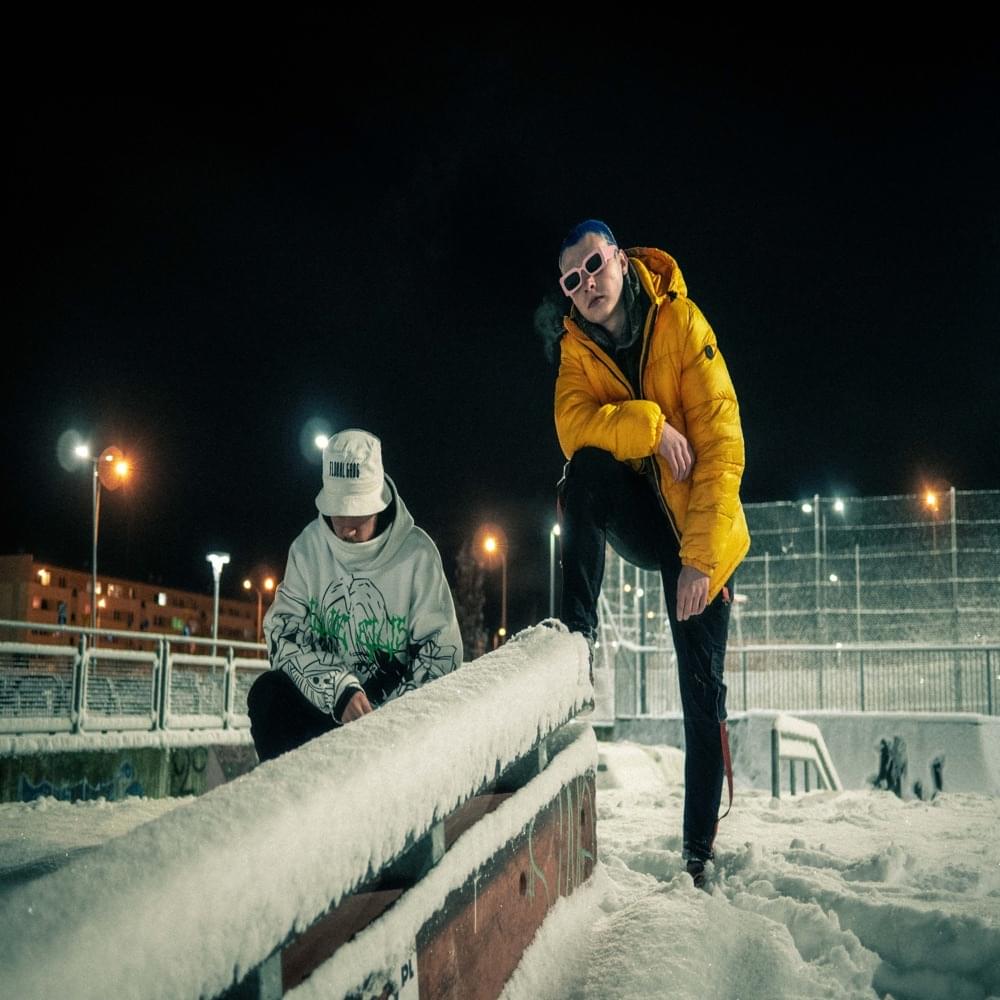 Album cover art for "nie mam 9 żyć" by be vis & Floral Bugs