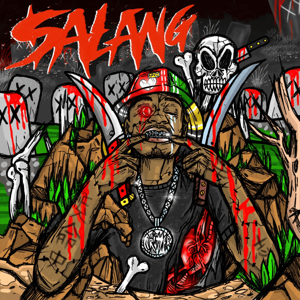 Cover image for SALANG
