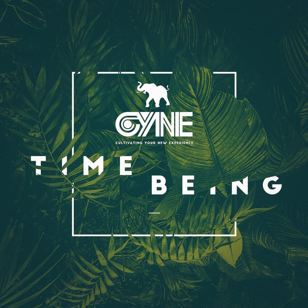 Cover image for Time Being (Deluxe Edition)