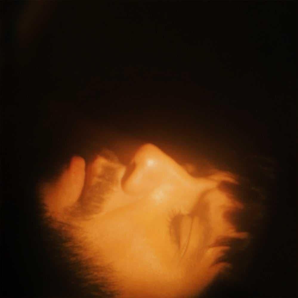 Cover image for I Had Another Dream