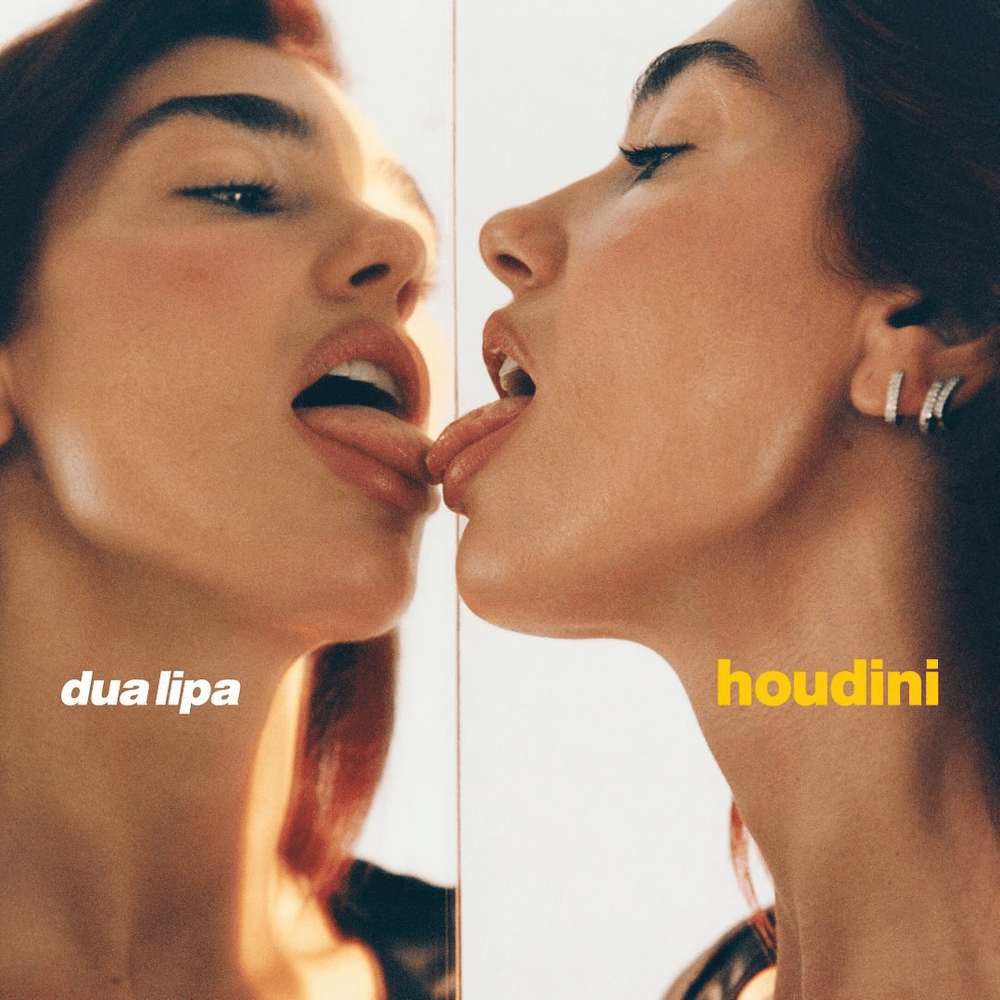 Album cover art for "Dua Lipa - Houdini (Tradução em Português)" by Genius Brasil Traduções