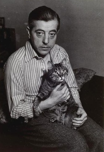 Le chat et l’oiseau by Jacques Prévert