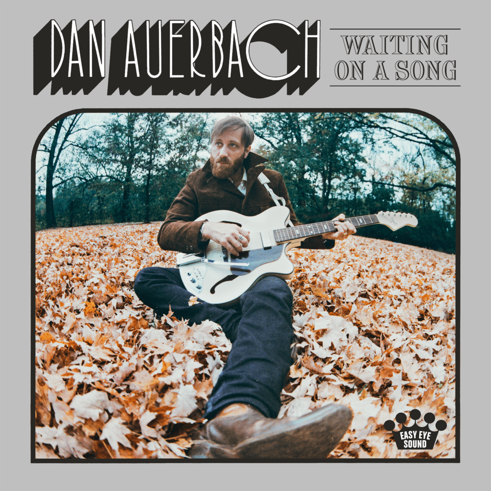 Never in My Wildest Dreams by Dan Auerbach