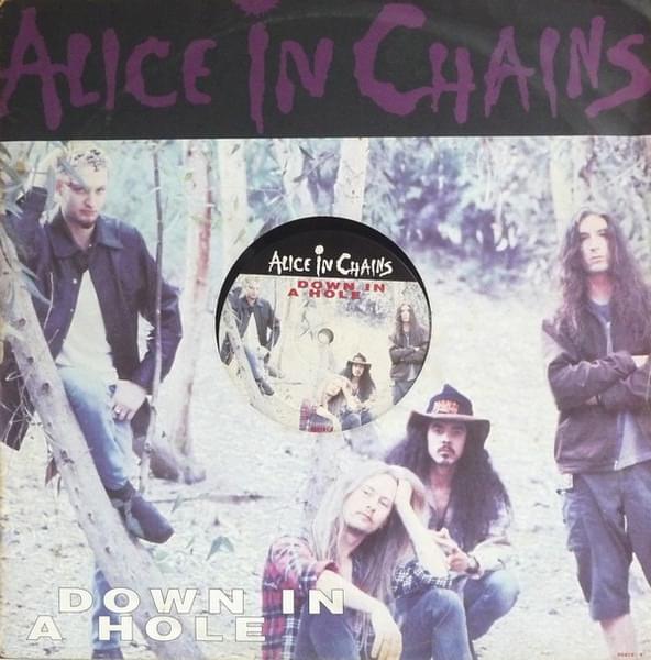 Album cover art for "Down in a Hole" by Alice in Chains