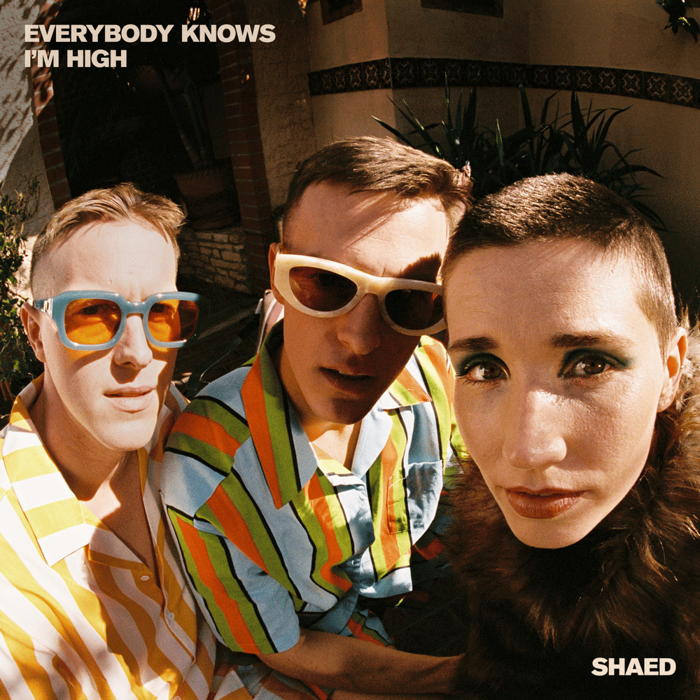 Album cover art for "Everybody Knows I’m High" by SHAED