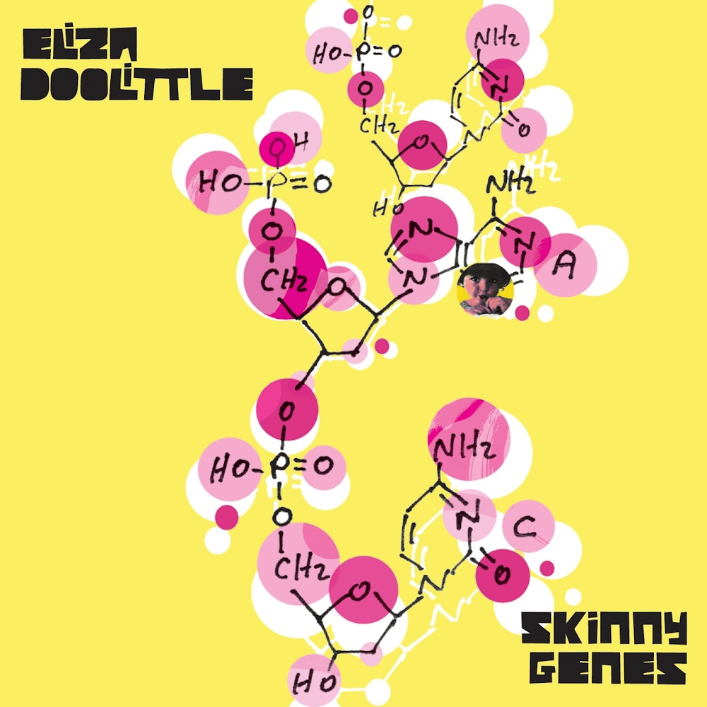 Cover image for Skinny Genes