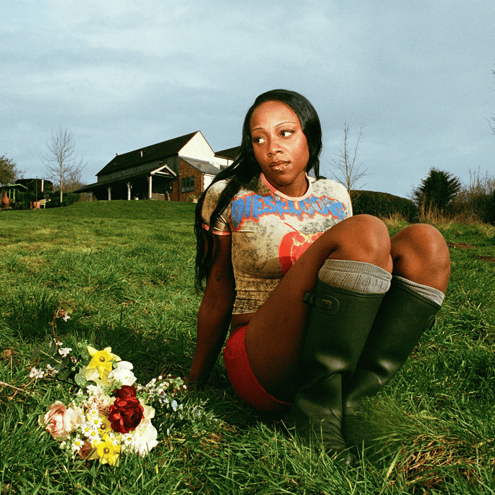Cover image for Little House (Reissue)
