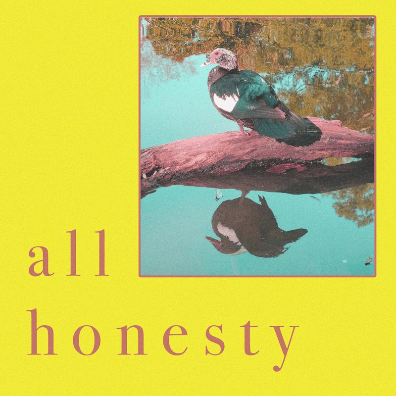 Album cover art for "all honesty" by nelward