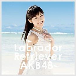 Cover image for Labrador Retriever (Type 4)