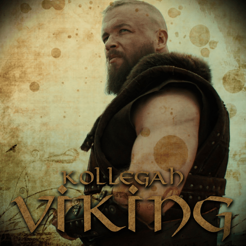 Album cover art for "VIKING" by Kollegah