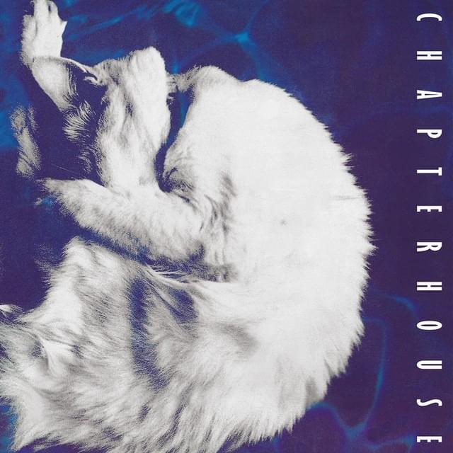 Cover image for Whirlpool, Before and After