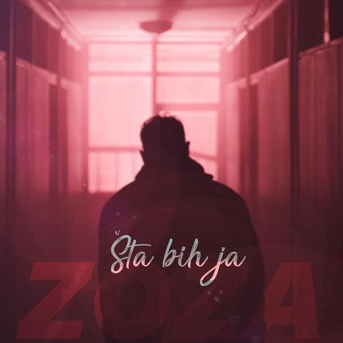 Šta bih ja by Zoza