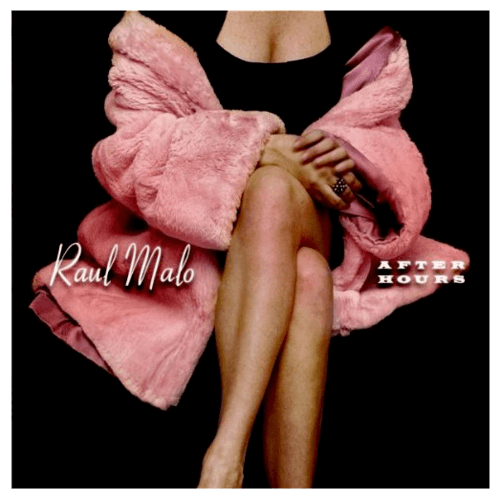 Pocket Of A Clown by Raul Malo