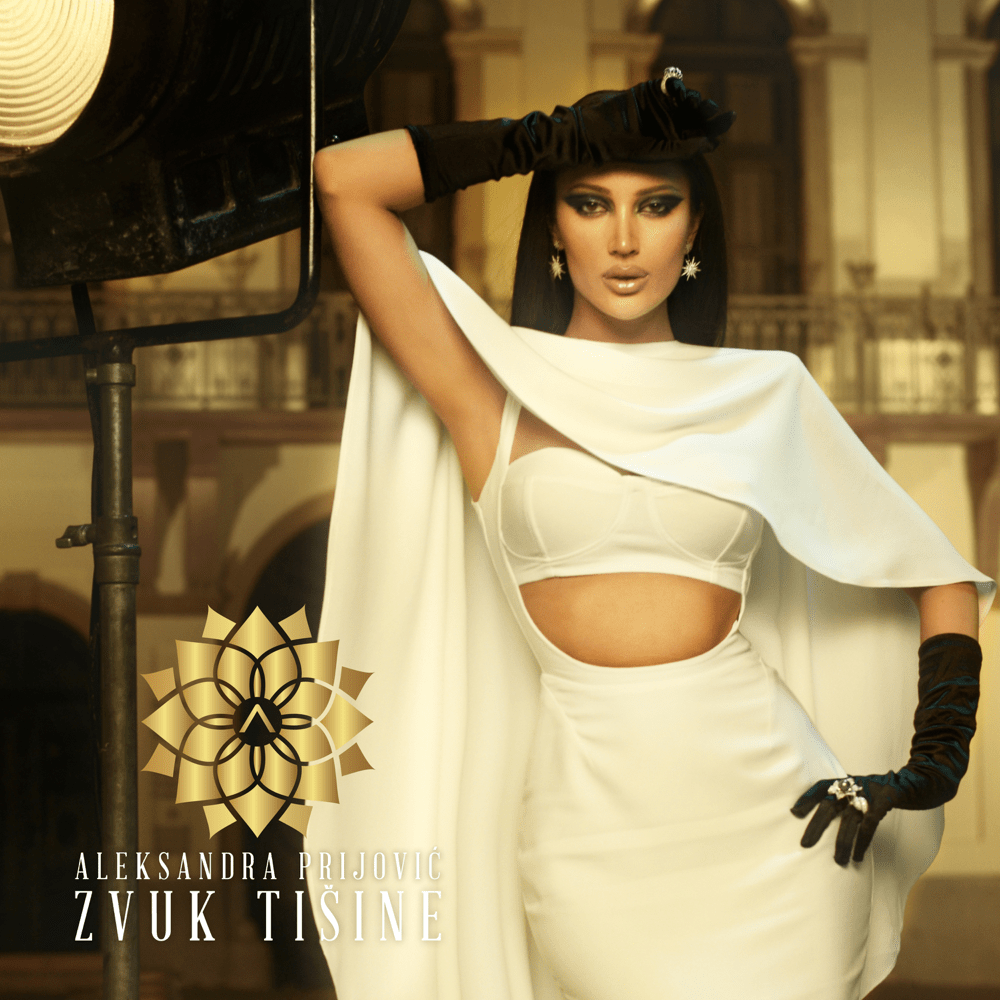Cover image for Zvuk tišine