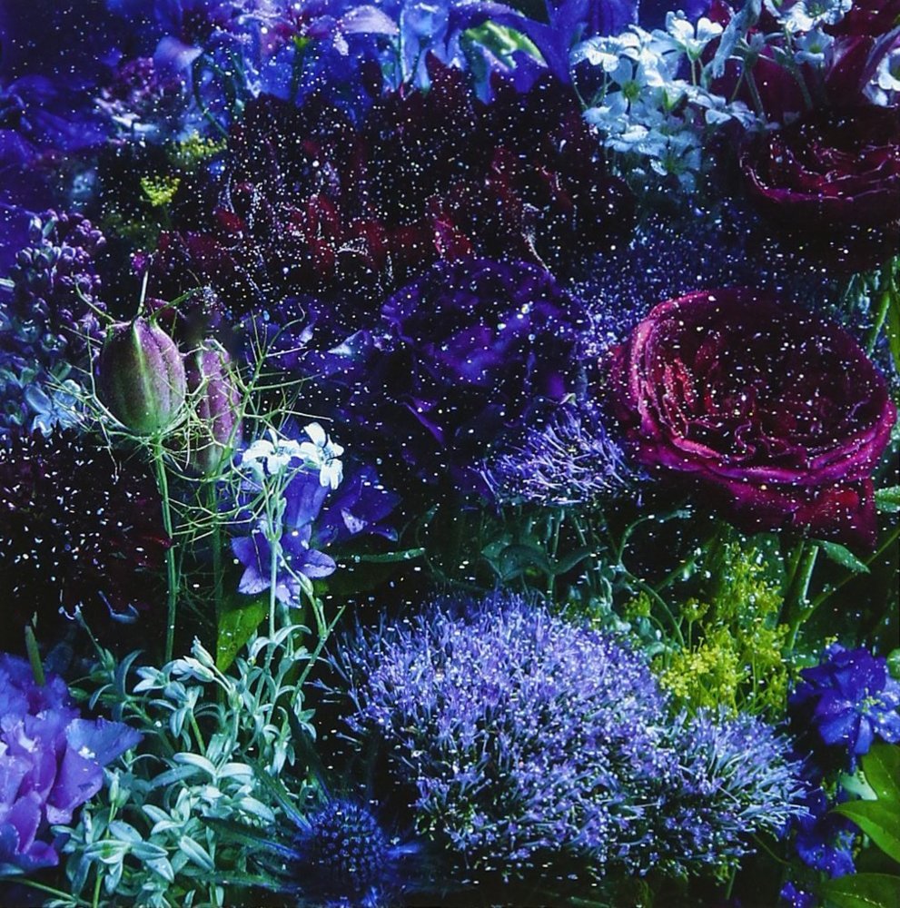 Album cover art for "あなたに出会わなければ ~夏雪冬花~ (Anata ni Deawanakereba ~Kasetsutouka~)" by Aimer
