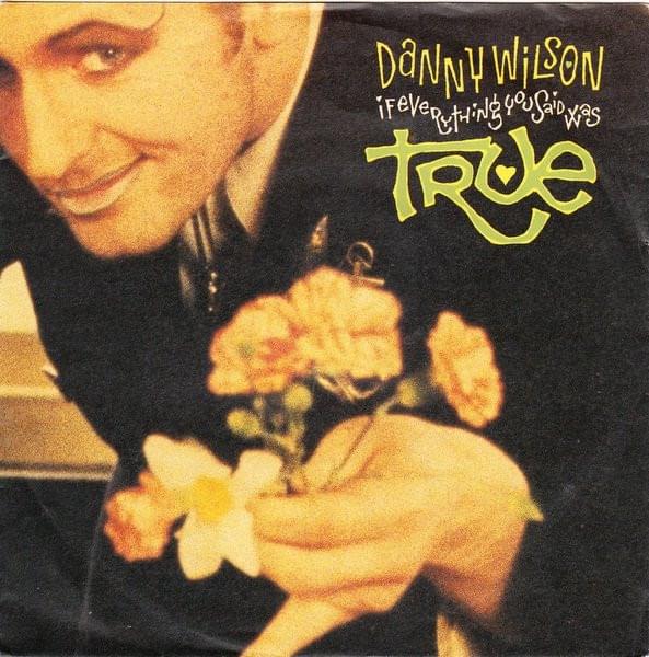 If Everything You Said Was True by Danny Wilson