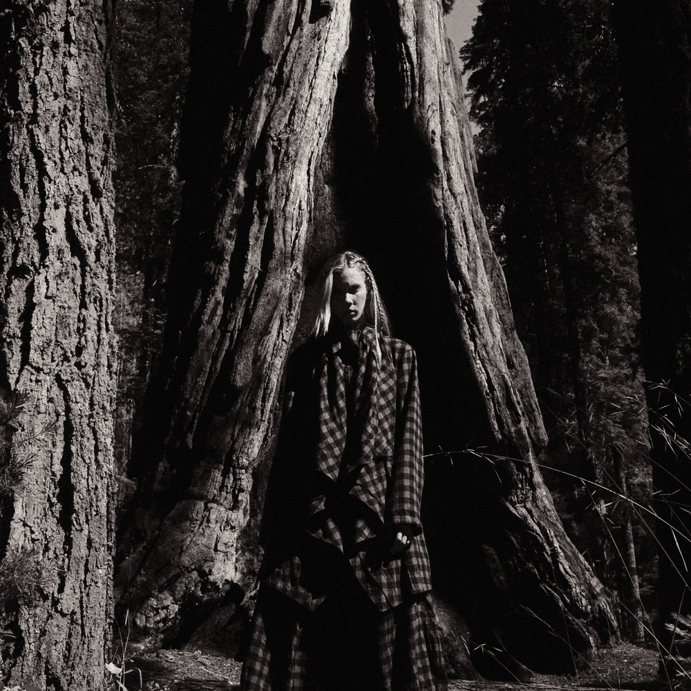 Album cover art for "War Cry" by Woodes