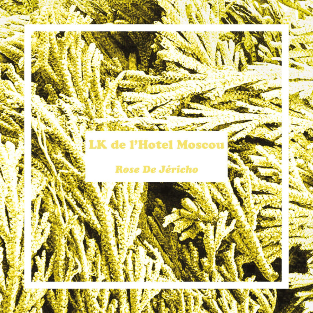 Cover image for Rose De Jéricho