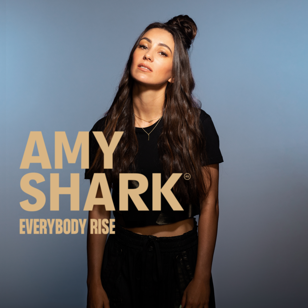 Album cover art for "Everybody Rise" by triple j