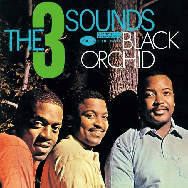 Cover image for Black Orchid