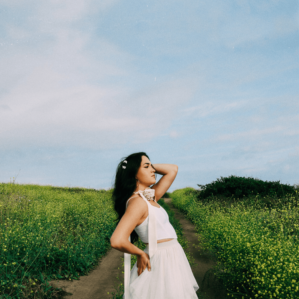 Dear Confirmity by Lorelei Marcell