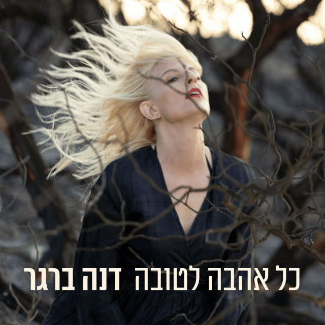 Ani Tzricha Roman - אני צריכה רומן by Dana Berger - דנה ברגר