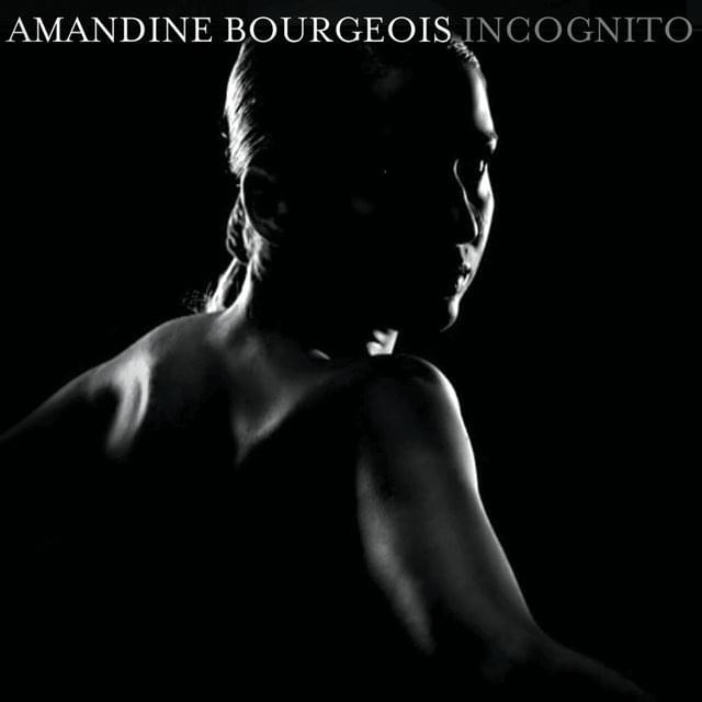 Incognito by Amandine Bourgeois