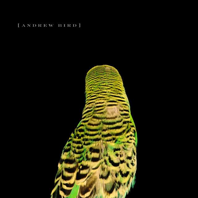 Album cover art for "Heretics" by Andrew Bird