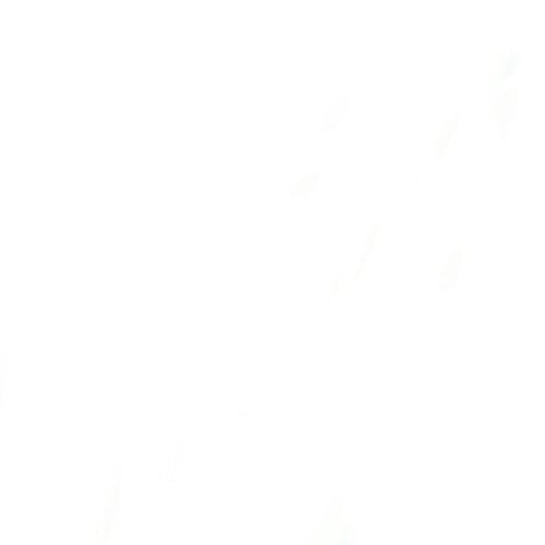 Cover image for translucent