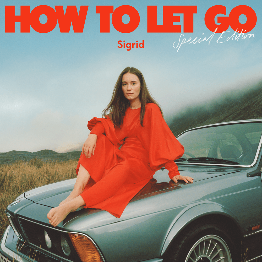 Cover image for How To Let Go (Special Edition)