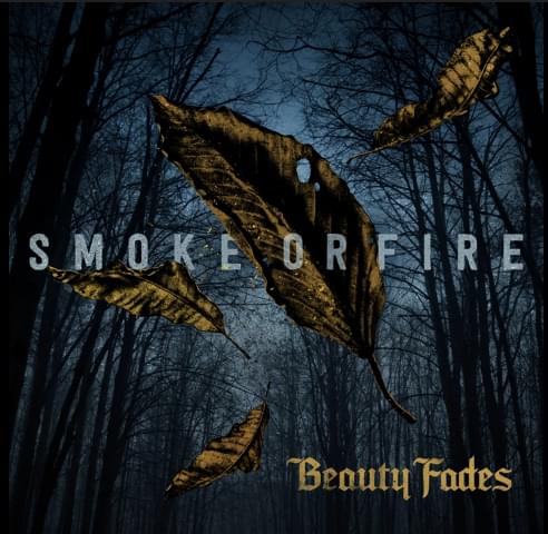 Album cover art for "Beauty Fades" by Smoke Or Fire