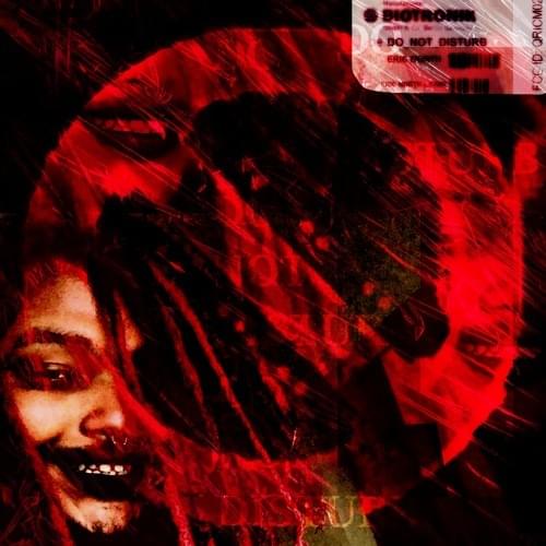 Album cover art for "DO_NOT_DISTURB" by ERIC NORTH