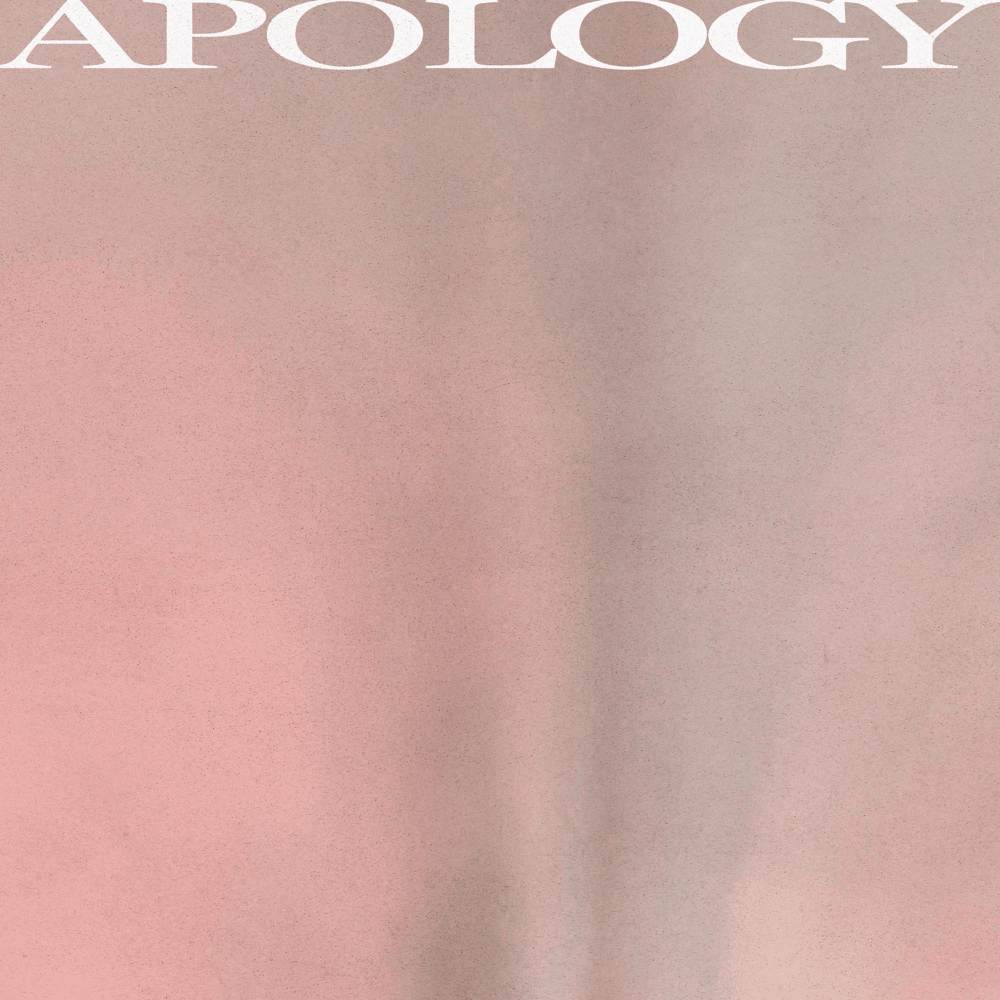 Cover image for APOLOGY