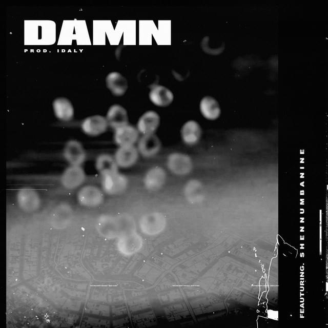 Album cover art for "DAMN" by Idaly & Shennumbanine