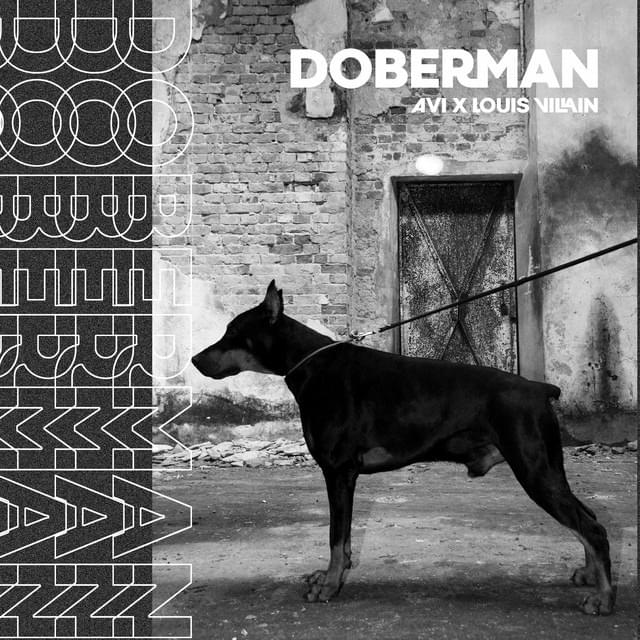 Album cover art for "Doberman" by Avi (POL)