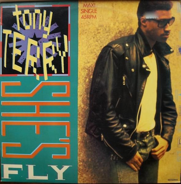 Album cover art for "She’s Fly" by Tony Terry