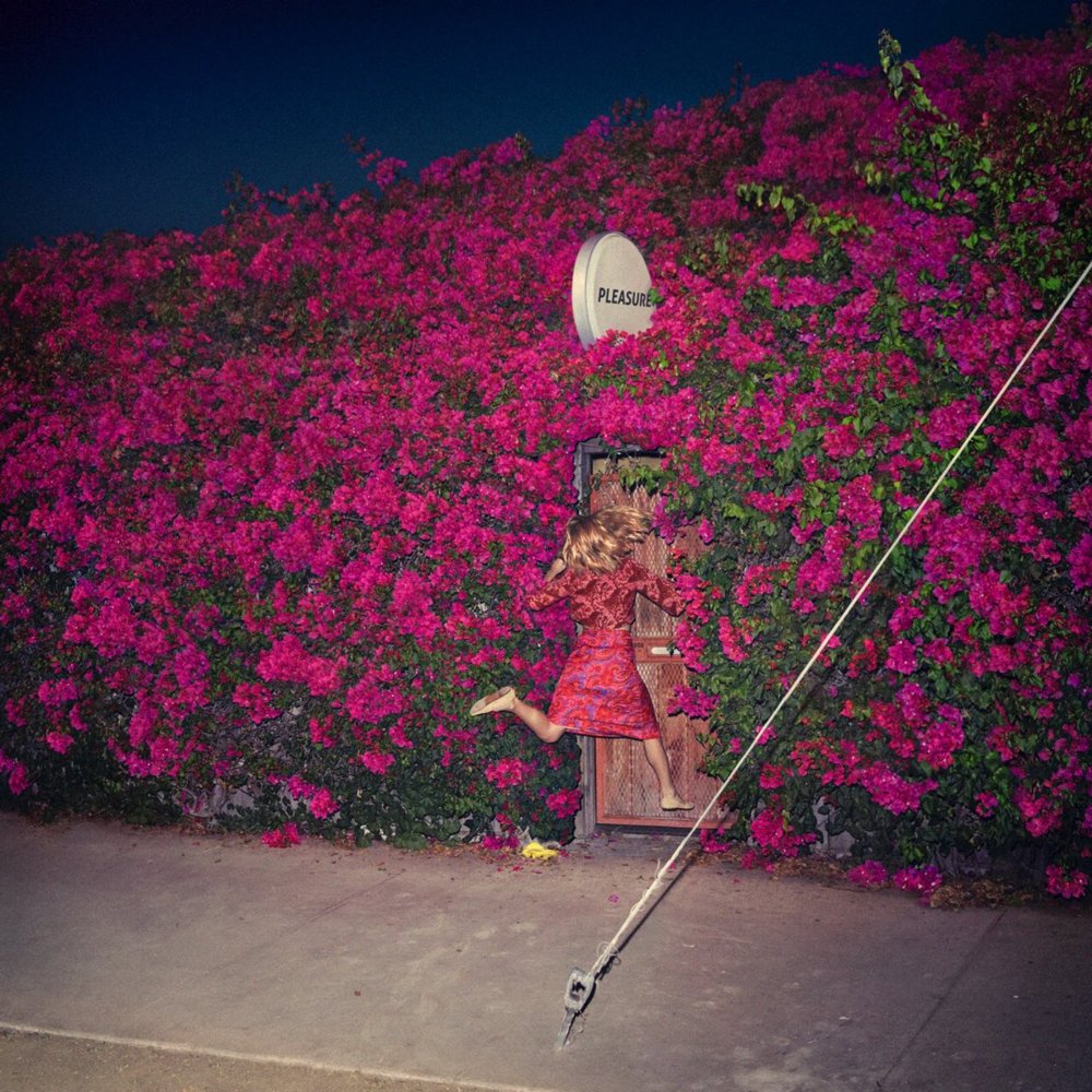 Pleasure by Feist