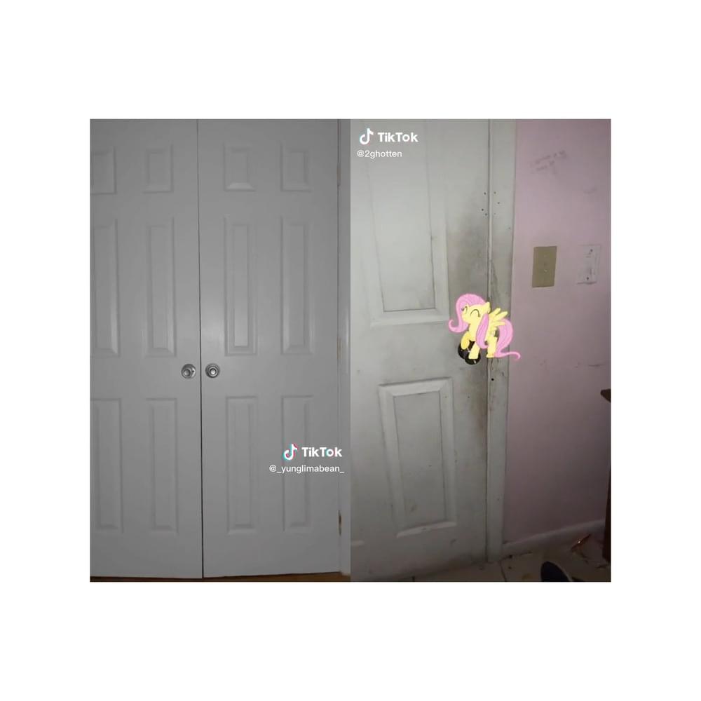 Album cover art for "Solicit" by Diberhaze
