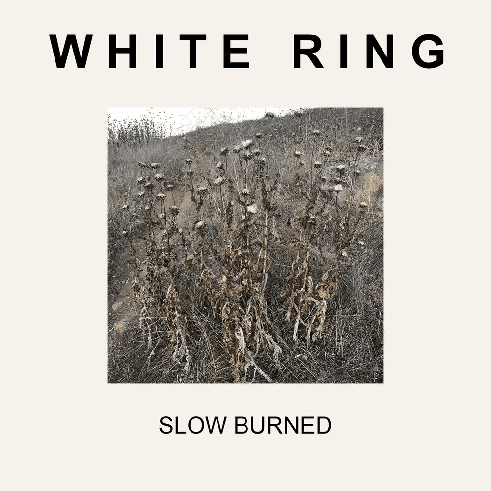 Shaken To Sleep by White Ring