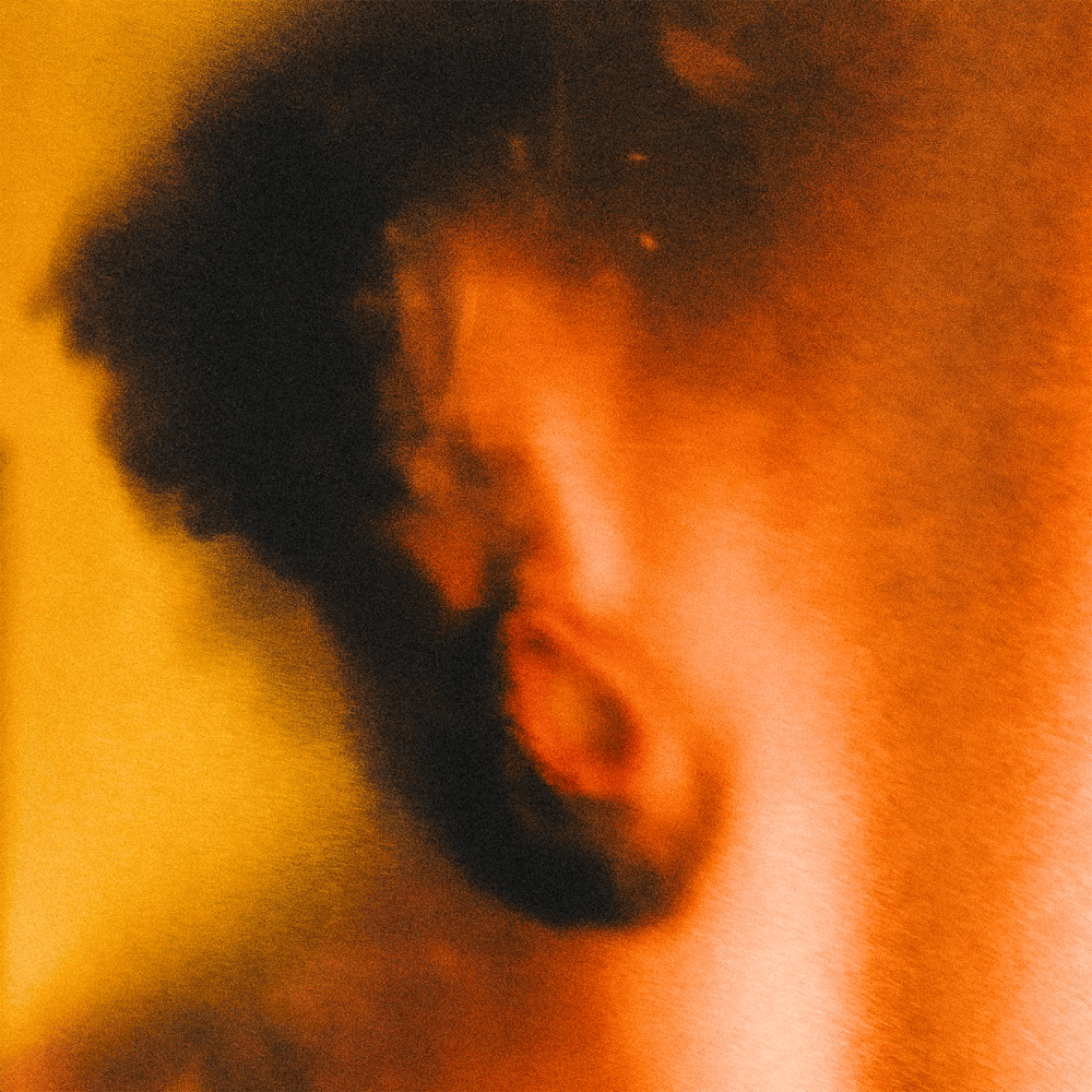 Album cover art for "IN THE FLESH" by Aries