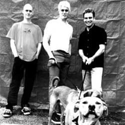 Common Rider Profile Picture Photo of Common Rider