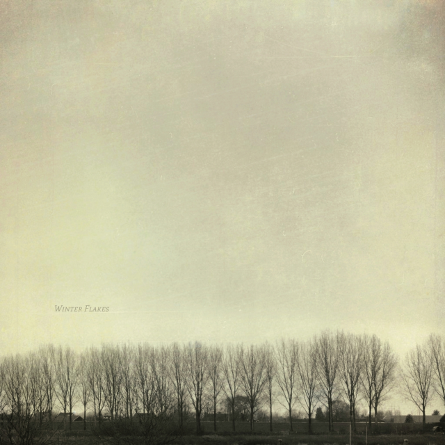 If I Were a Poet by Brenky