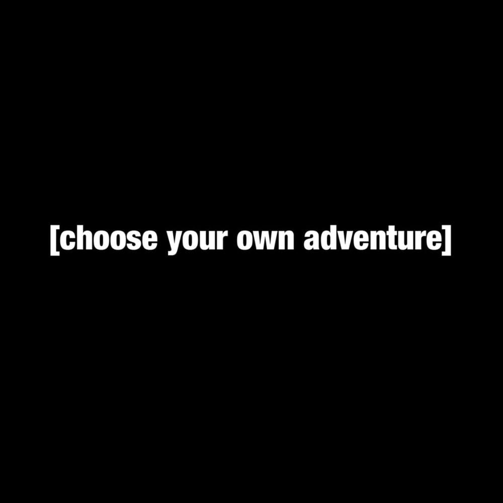 Album cover art for "[bump 04] / [choose your own adventure]" by Nmesh