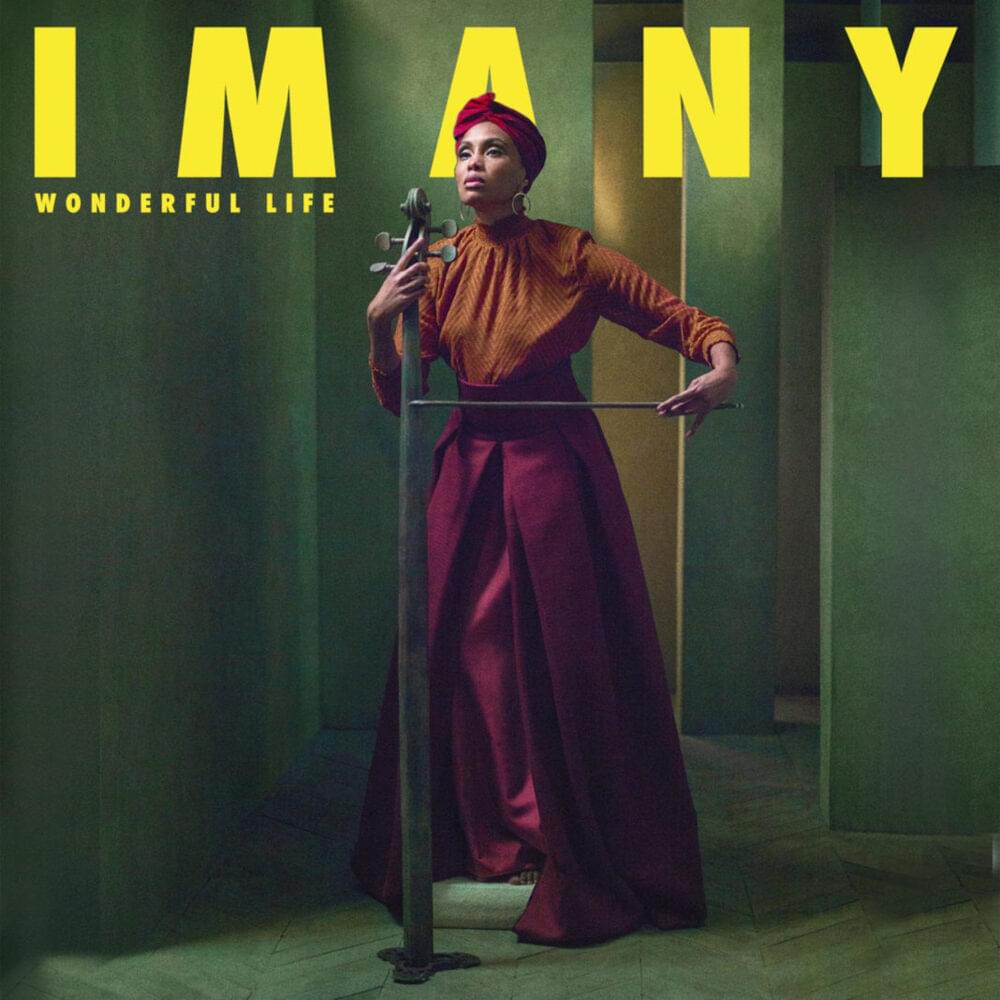 Album cover art for "Wonderful Life" by Imany