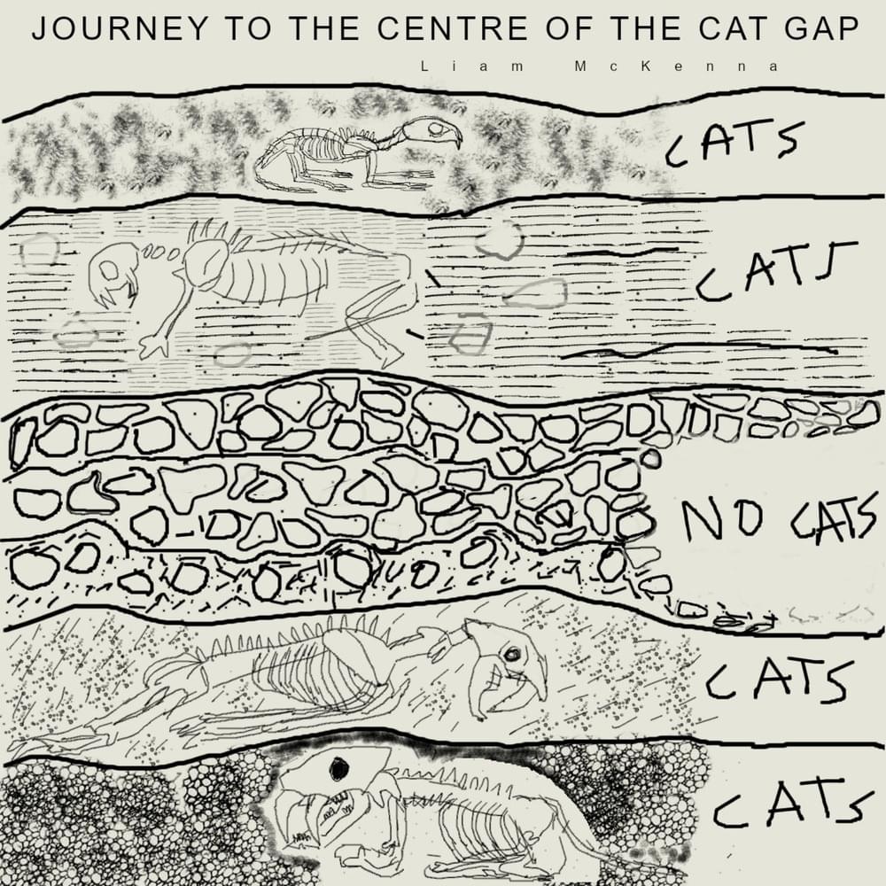 Cover image for Journey to the Centre of the Cat Gap